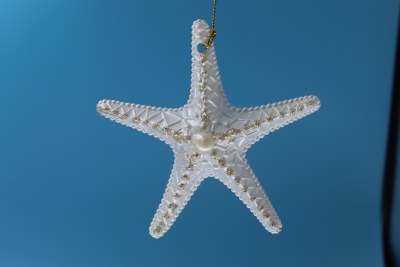 WHITE STARFISH