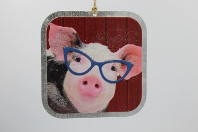 PIG W/ GLASSES