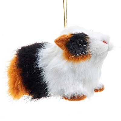 GUINEA PIG