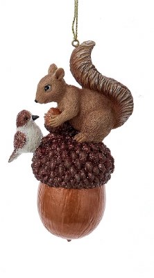 SQUIRREL ON ACCORN
