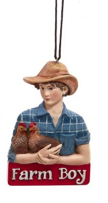 FARM BOY CHICKENS
