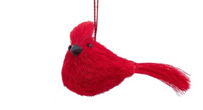 BRUSH CARDINAL