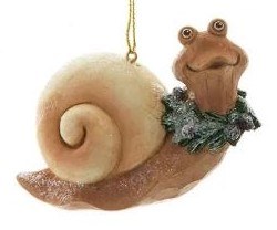 WHITE SHELL SNAIL
