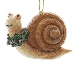 BROWN SHELL SNAIL