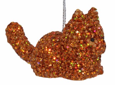 ORANGE CAT