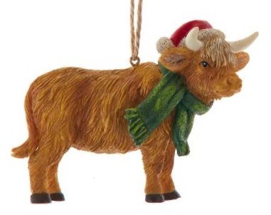 HIGHLAND COW