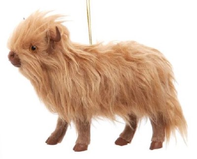 HIGHLAND COW