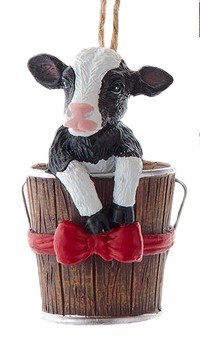 CALF IN BUCKET