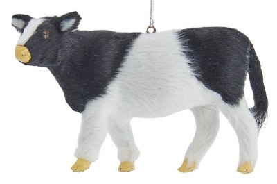 STANDING COW