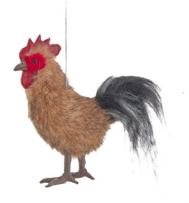ROOSTER