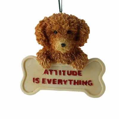 ATTITUDE IS EVERYTHING