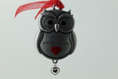 OWL ALWAYS LOVE YOU