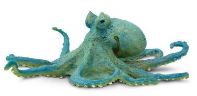 OCTOPUS