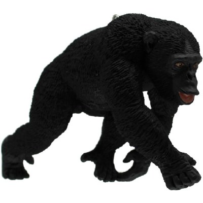 CHIMPANZEE