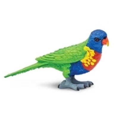 LORIKEET