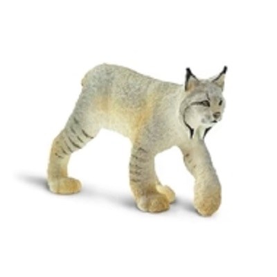 LYNX