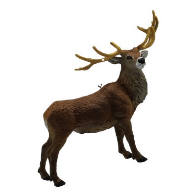 RED DEER BUCK