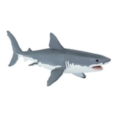 GREAT WHITE SHARK