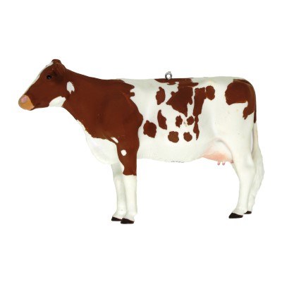 AYRSHIRE COW