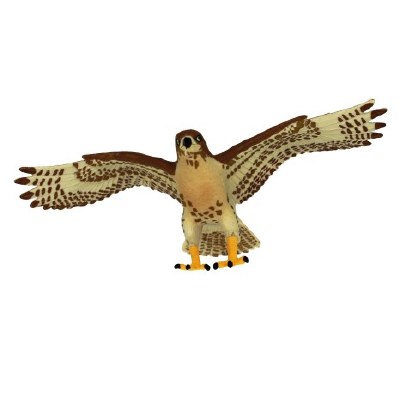 RED TAILED HAWK