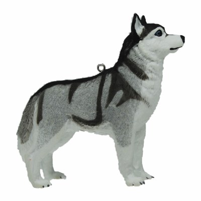 SIBERIAN HUSKY