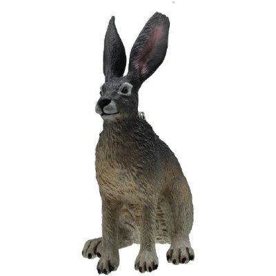 AMERICAN DESERT HARE