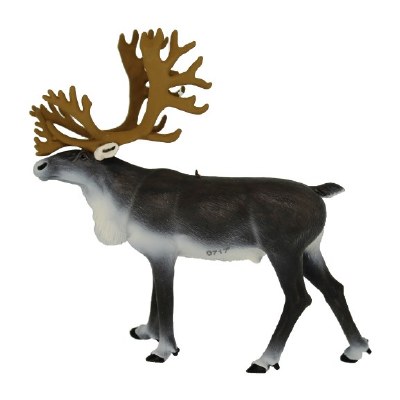 CARIBOU