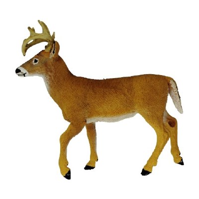 WHITE TAIL DEER BUCK
