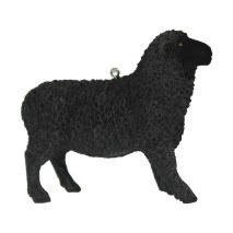 BLACK SHEEP