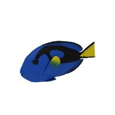 BLUE TANG FISH