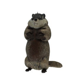 GROUNDHOG