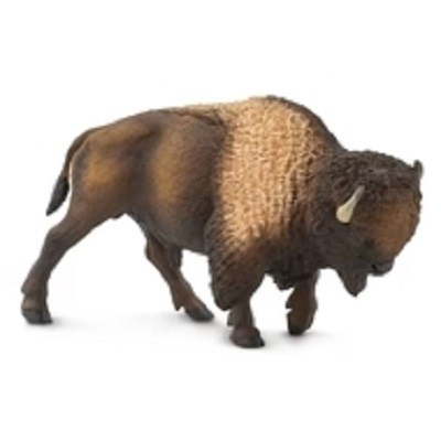 BISON