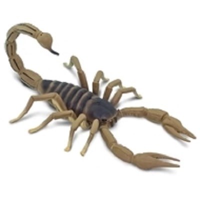 SCORPION