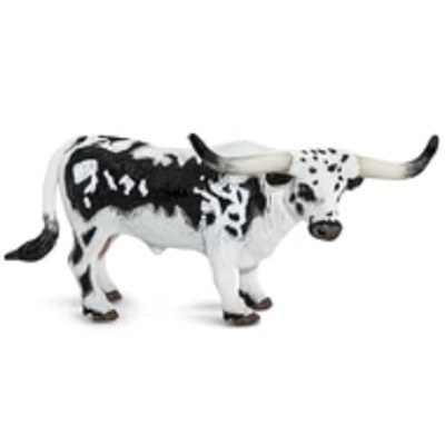 TEXAS LONGHORN BULL