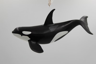 ORCA WHALE