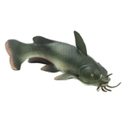 CATFISH