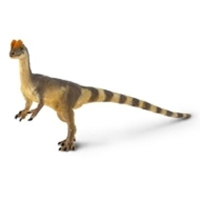 DILOPHOSAURUS WITH BANDED TAIL