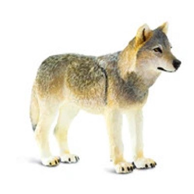 GRAY WOLF
