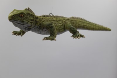 TUATARA