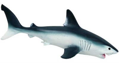 PORBEAGLE SHARK