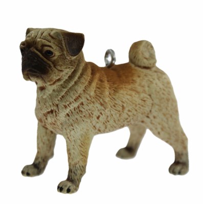 PUG