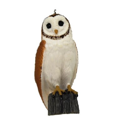 BARN OWL