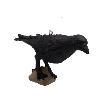 RAVEN