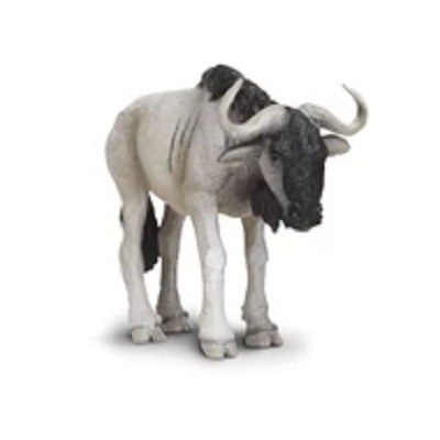 BLUE WILDEBEEST