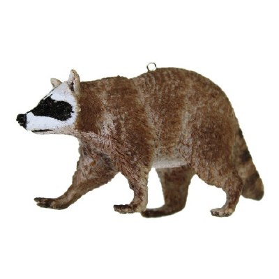 RACCOON