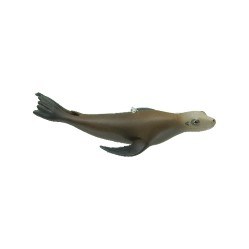 CALIFORNIA SEA LION