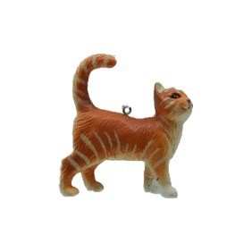 TABBY CAT