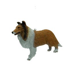 COLLIE