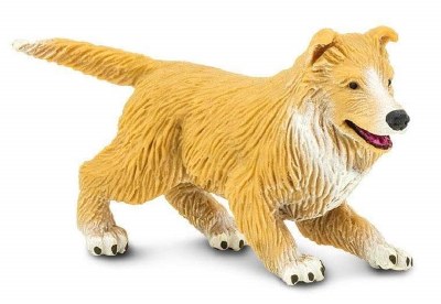 COLLIE PUPPY