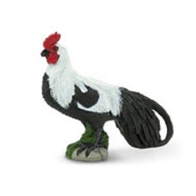 PHOENIX ROOSTER